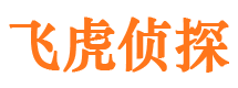 怀远外遇调查取证